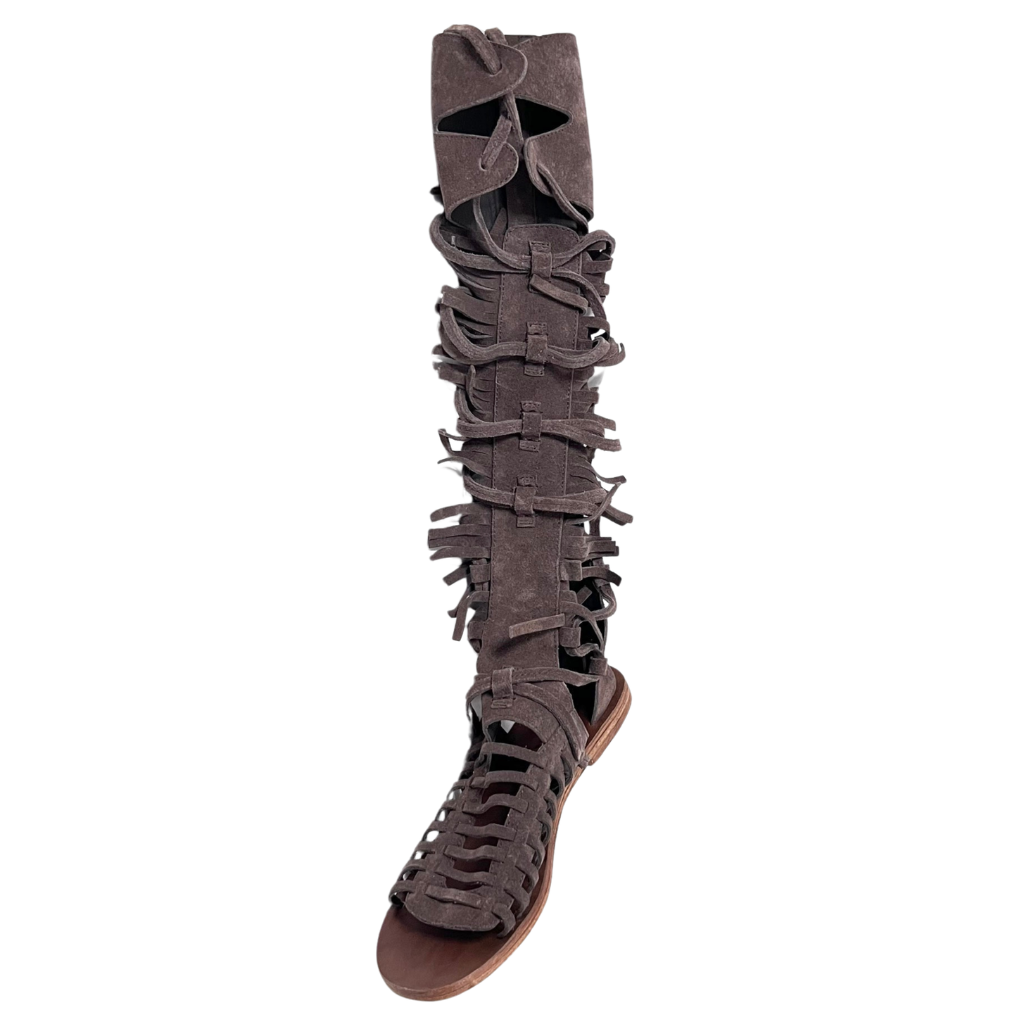 gladiator ladies sandal