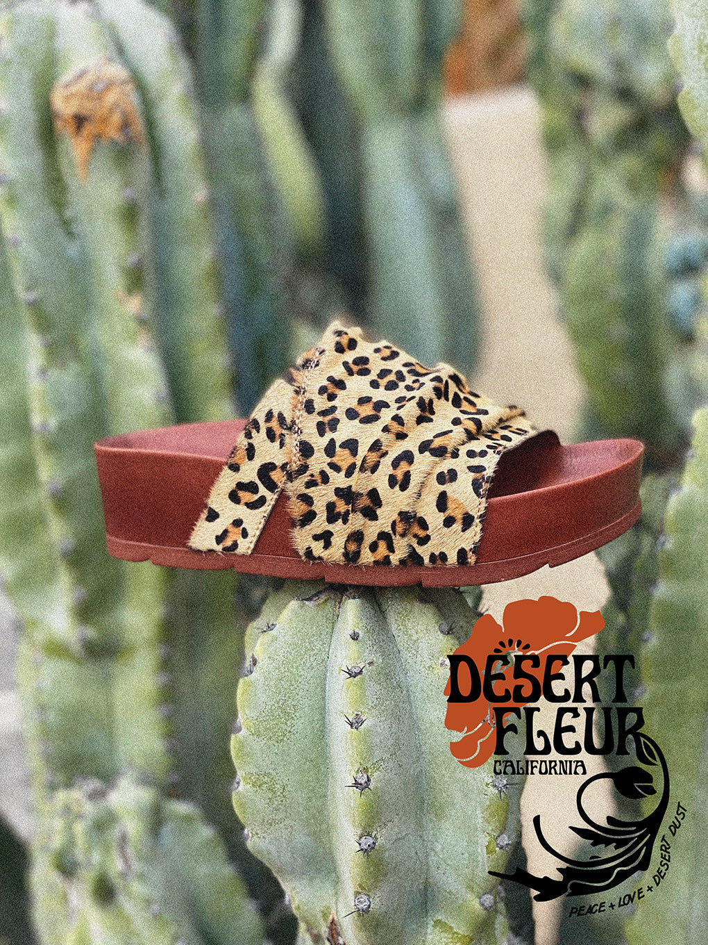 Desert Fleur